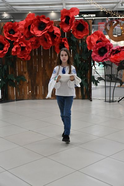 DSC 9270 result (3)